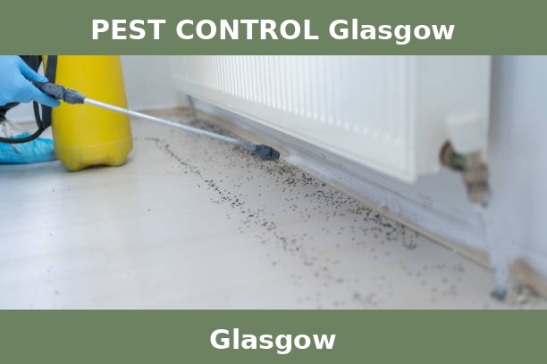 PEST CONTROL Glasgow